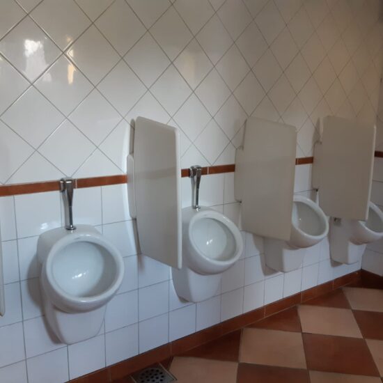 Schaamschotten